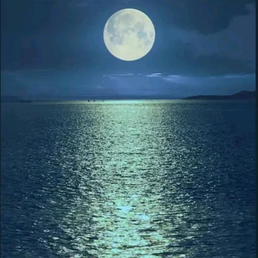 水中明月