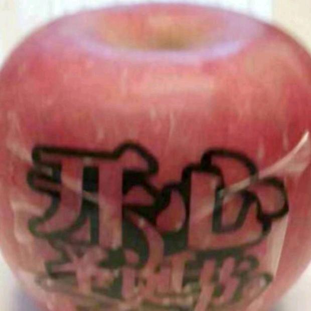 调皮的腊梅姐姐