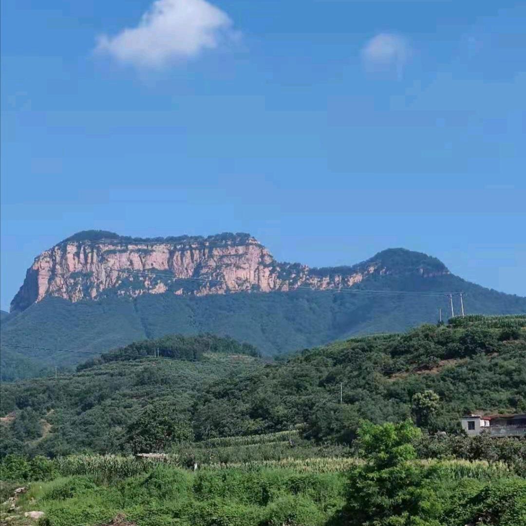 牛城波哥