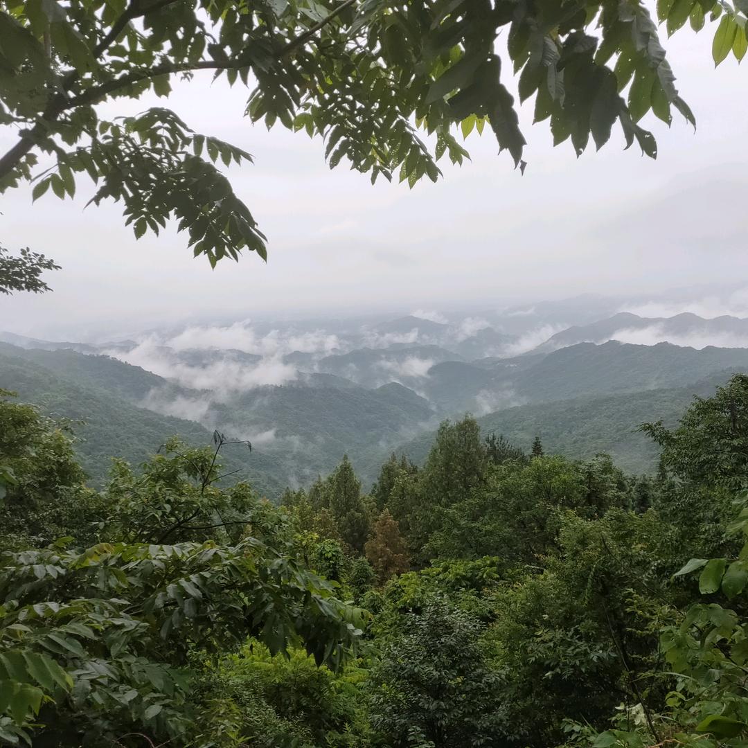 瞅你咋地