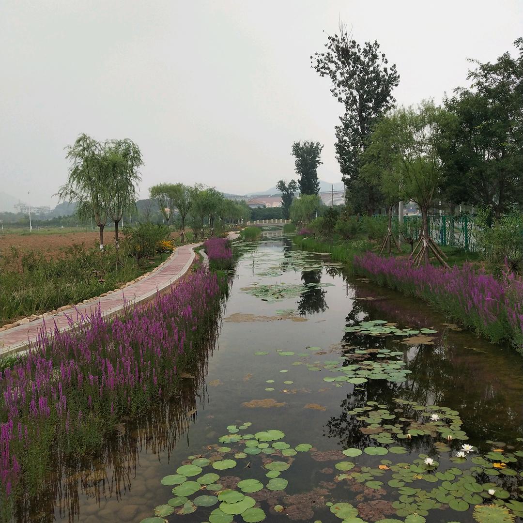 有没有那么一首歌