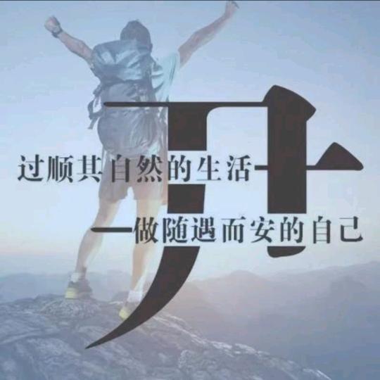 数字