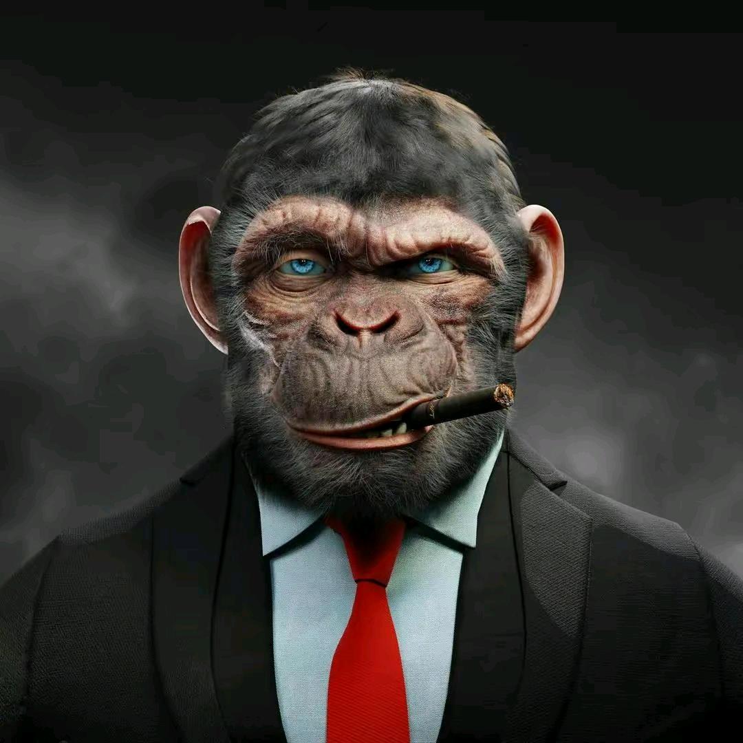 豫见淘宝闪购荆站长