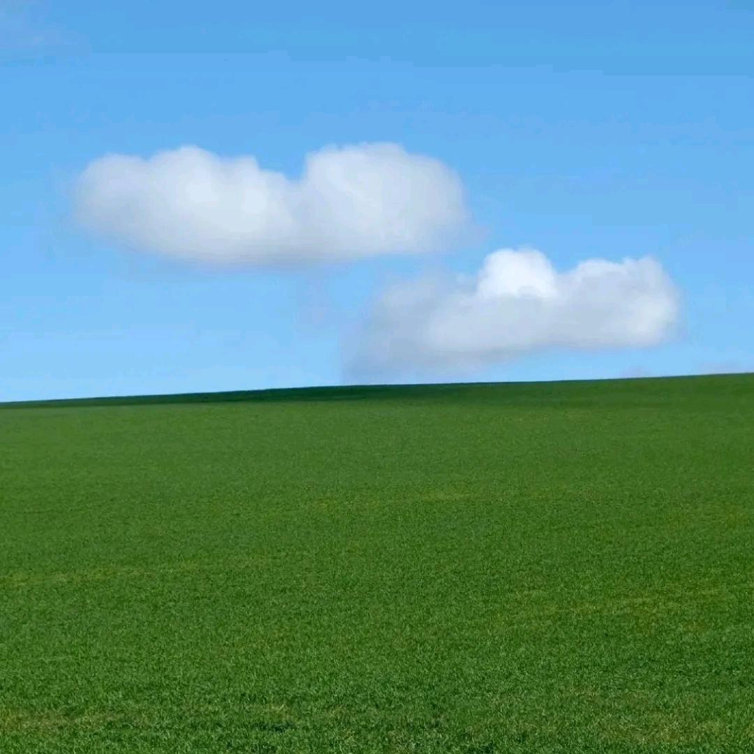 涛