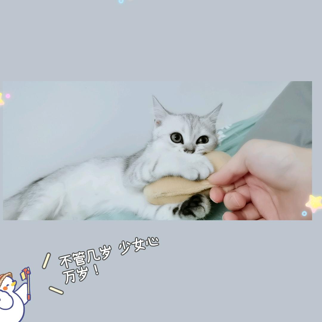 陈开心