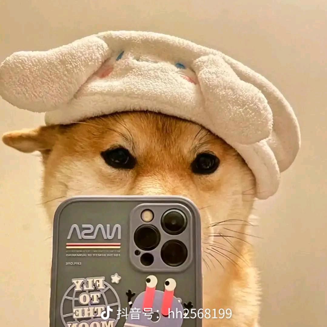 老黄TG