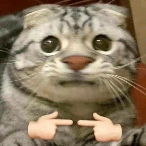 陈大造