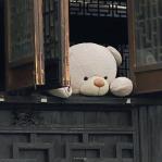 秋霄.