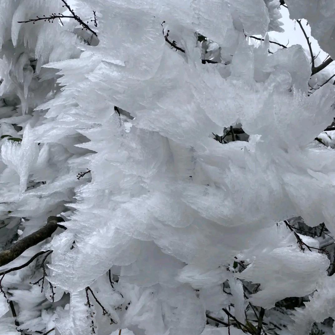 ℳ.ℓ微笑敷衍心疼᭄ꦿ࿐