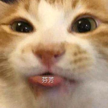 岁月神偷（请勿连赞）