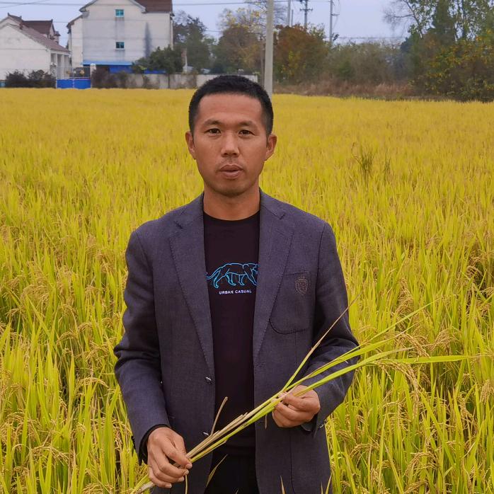 郎溪农友不老松