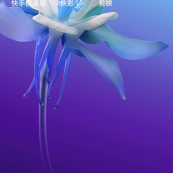 多多成长
