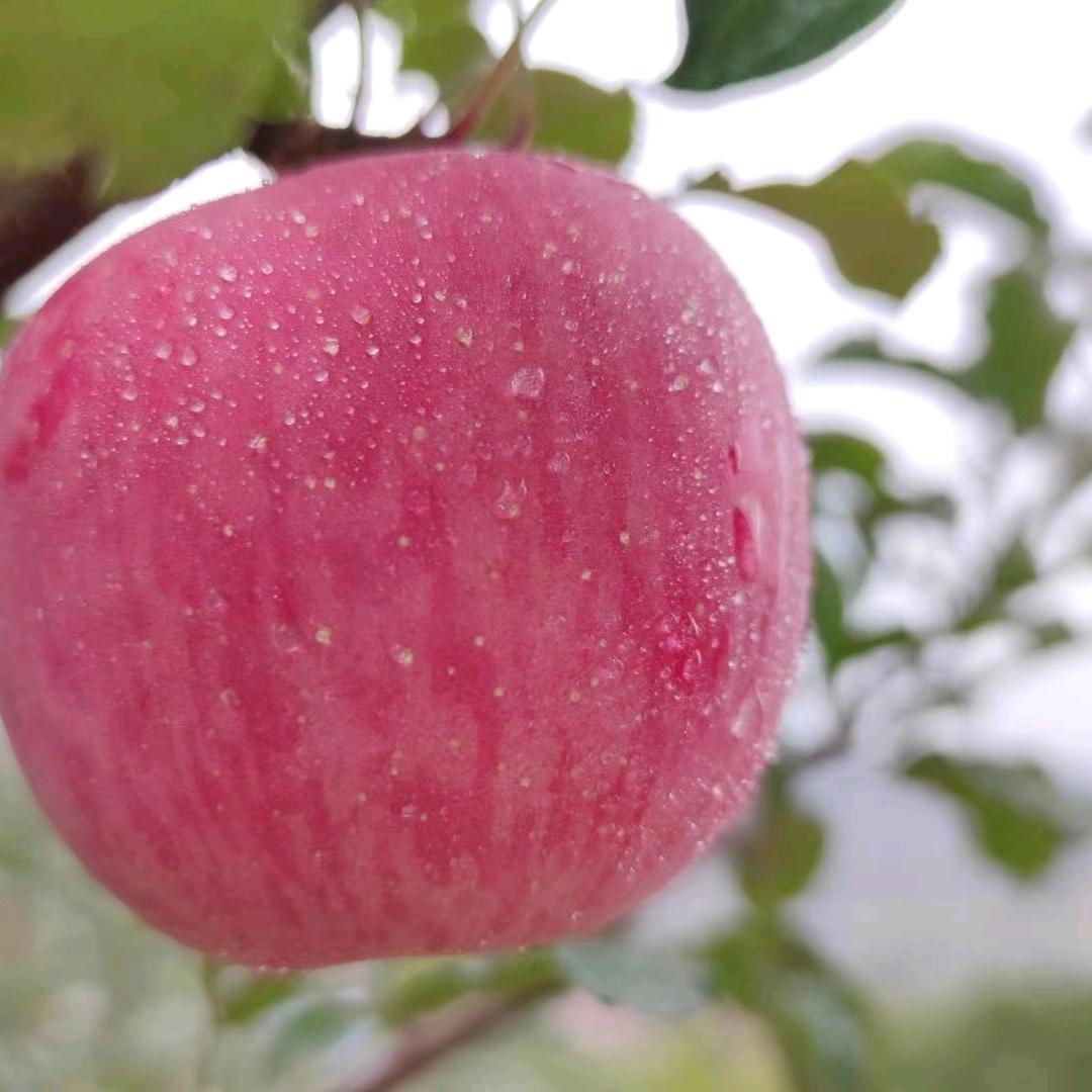 💏幸运相随💏