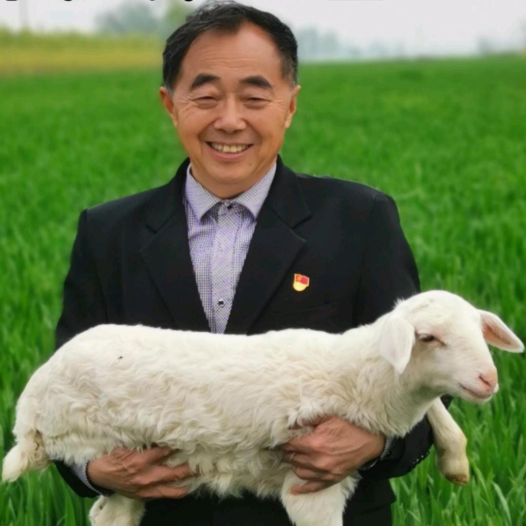 老羊倌日记
