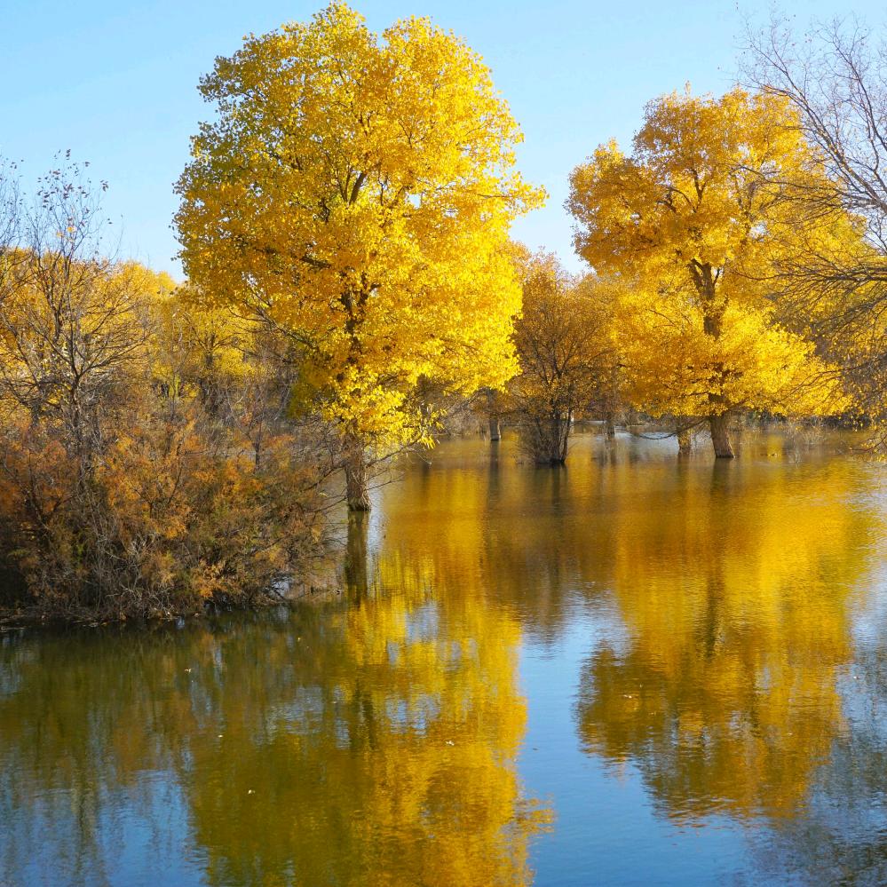 雅雅优选好房信息咨询部