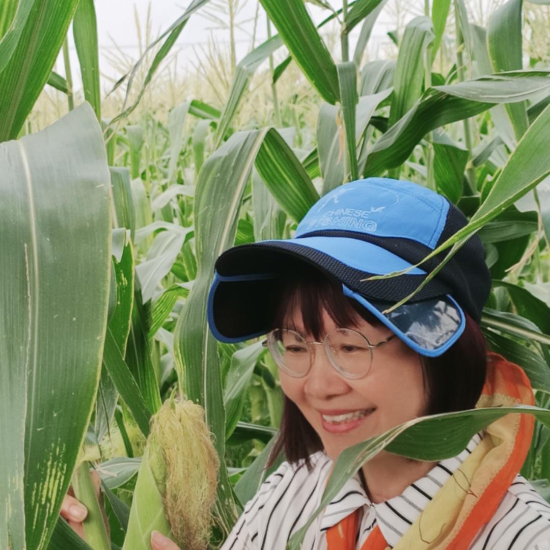 莫老爷