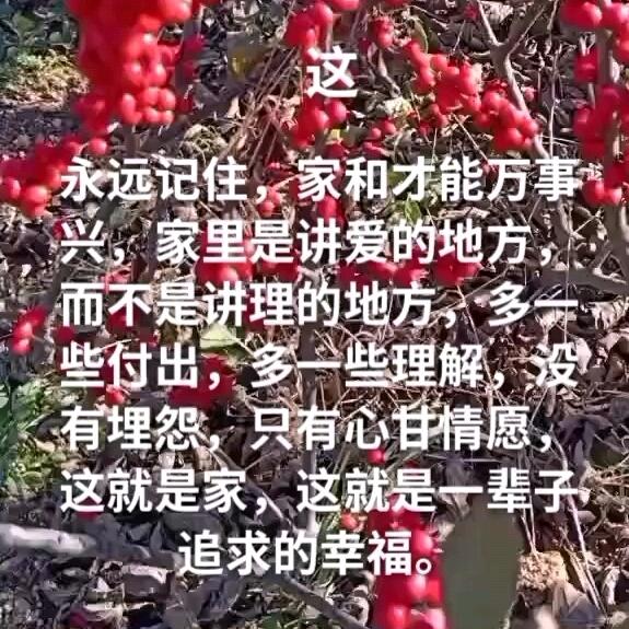 诚信旺季煤炭交易中心