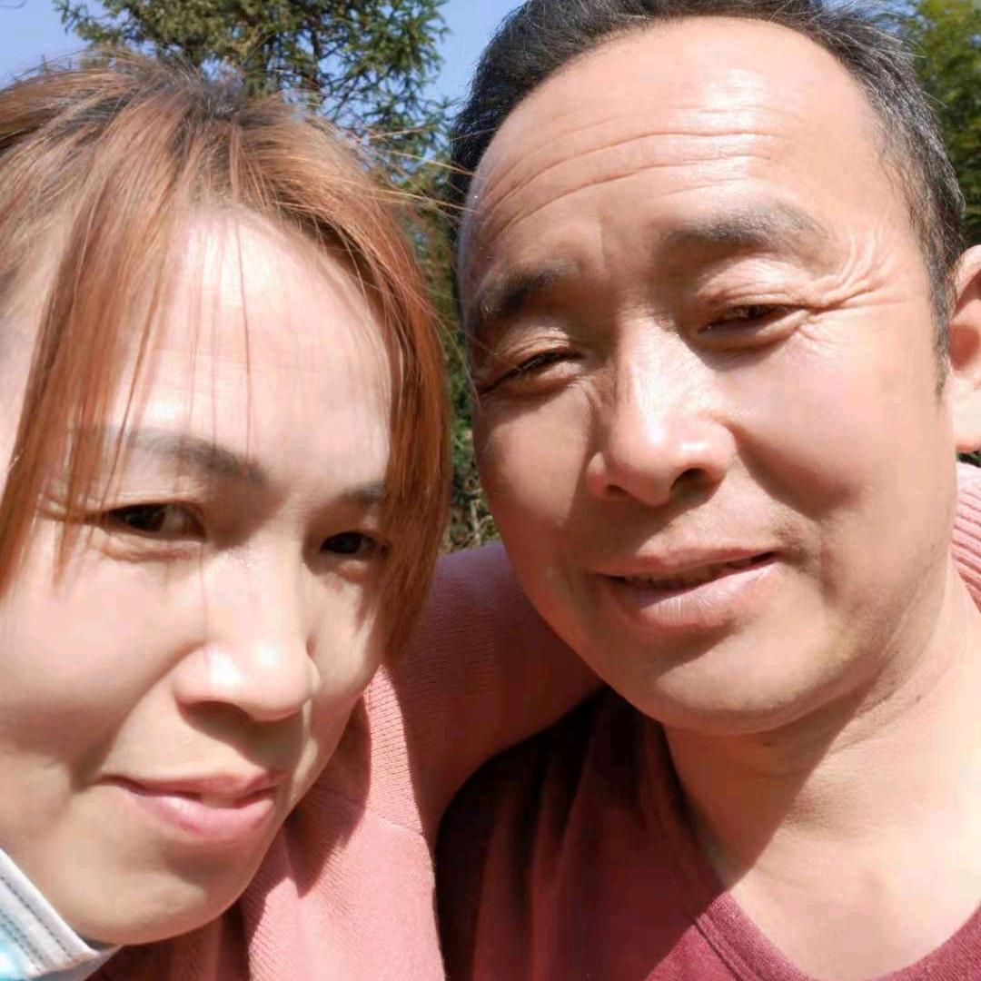 飞歌