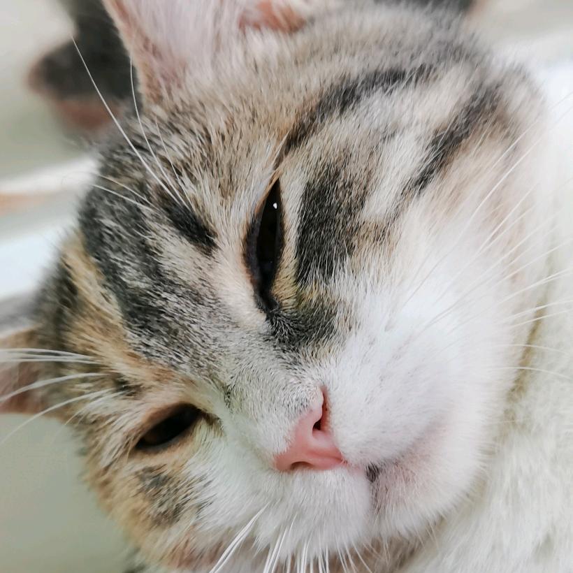 小熊23