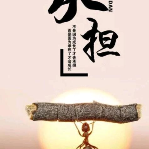 波哥