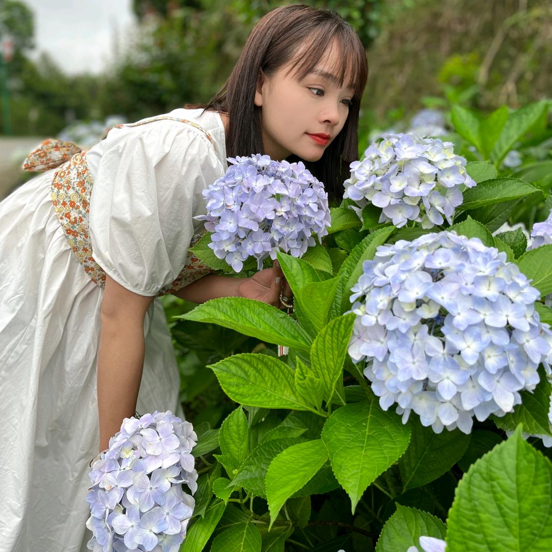 花坊姑娘&青柠