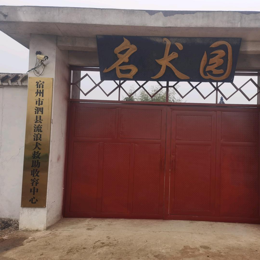 泗县名犬园