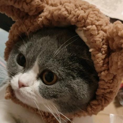 🐔七婷0319🐯💏💑
