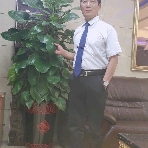 青山绿水