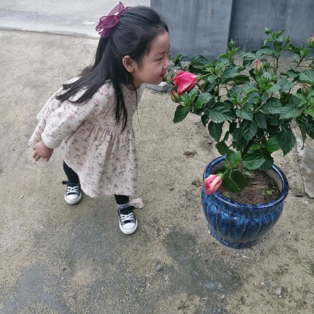 平度专业玻璃修复