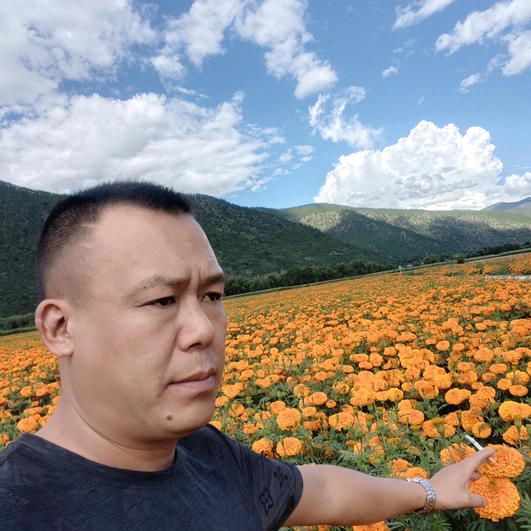 有缘来相聚