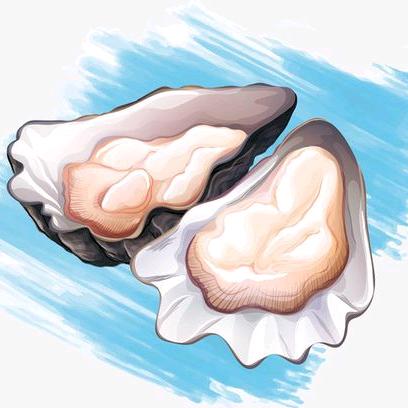 海蛎哥（闲置资产变现）