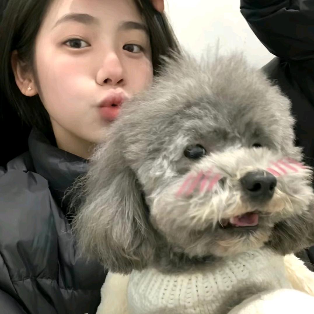 面包树(见过鹿晗2次
