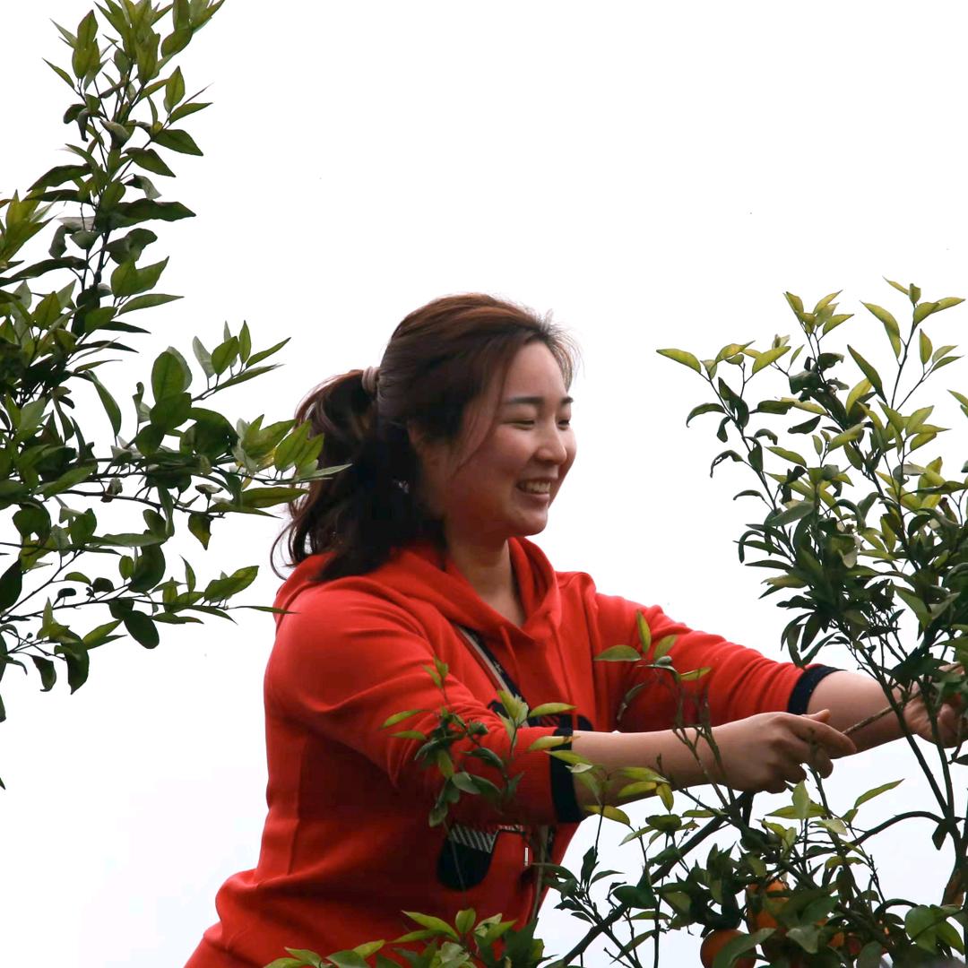 田蜜的生活