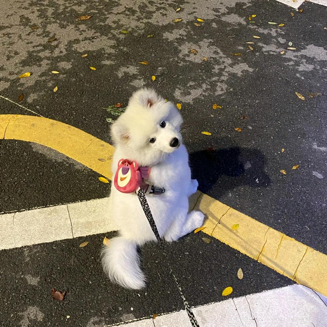 一倒头就睡
