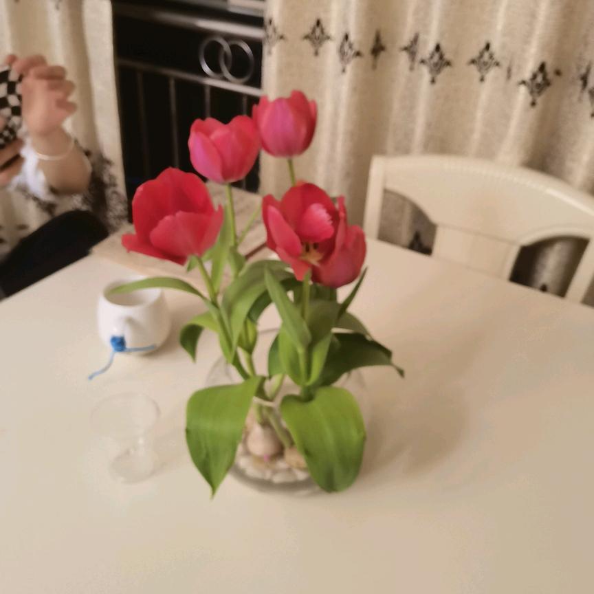 向阳🌻