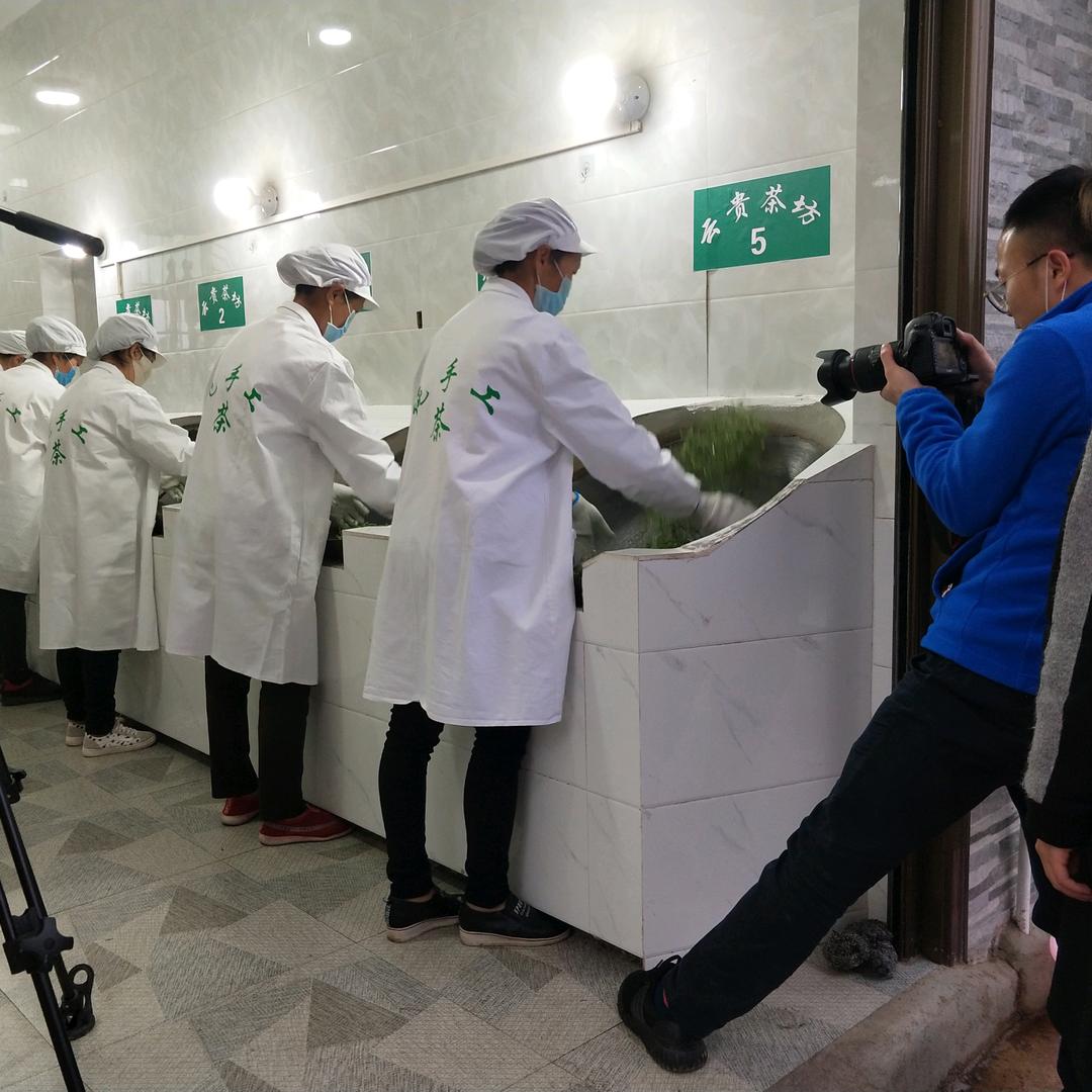 A云一贵茶坊云雾贡茶