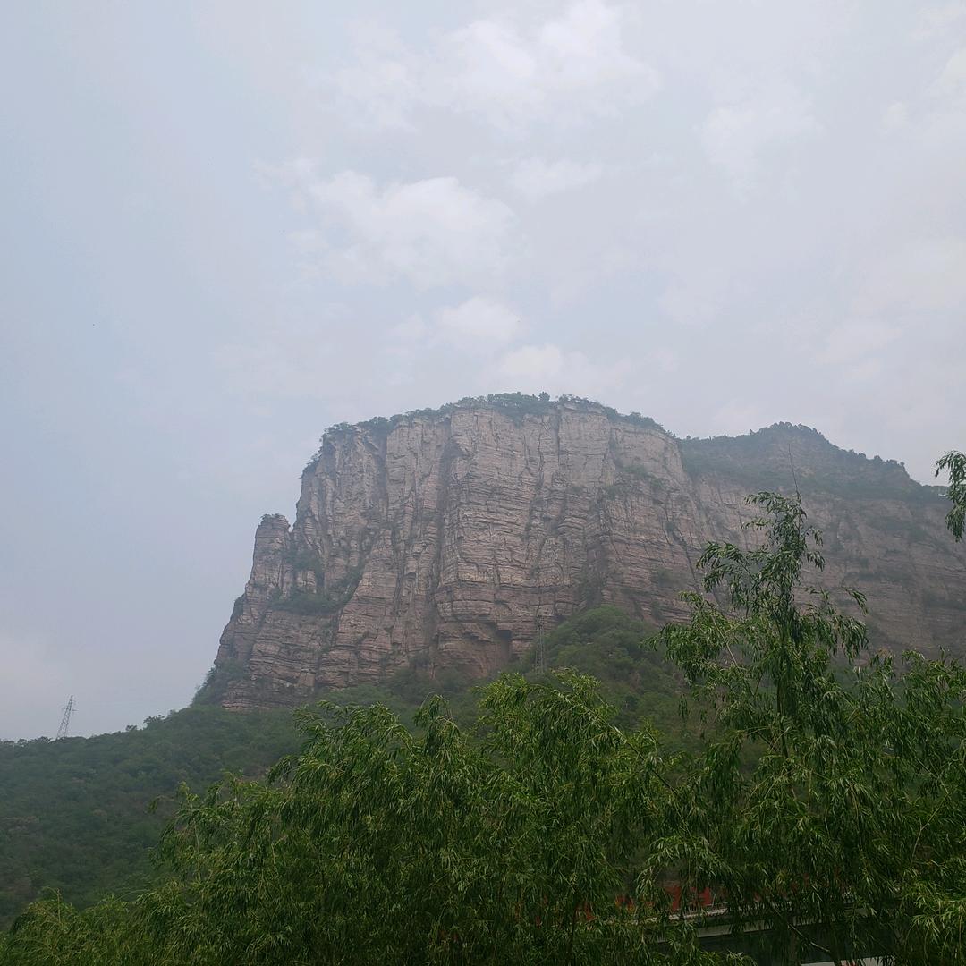 伟佳