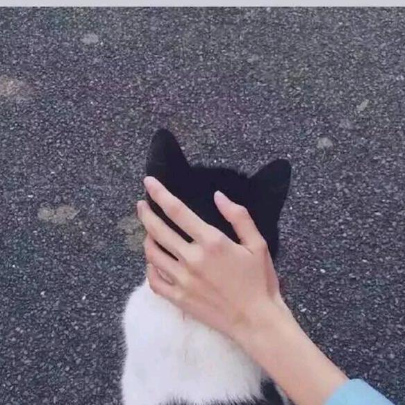 61户头像