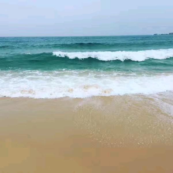 露露姐
