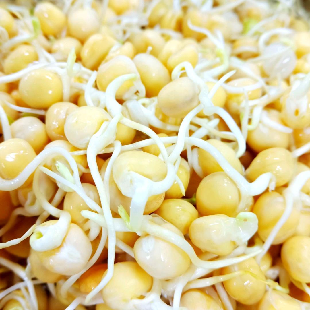 王记纯手工豆芽