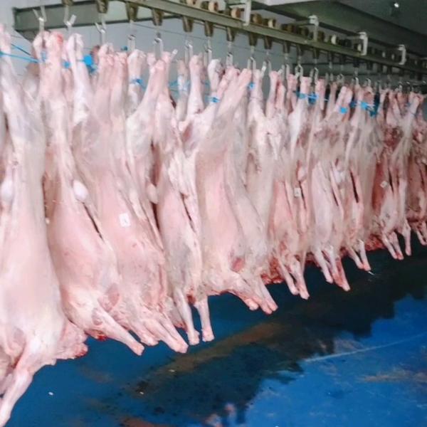 鑫硕清真肉业工厂店