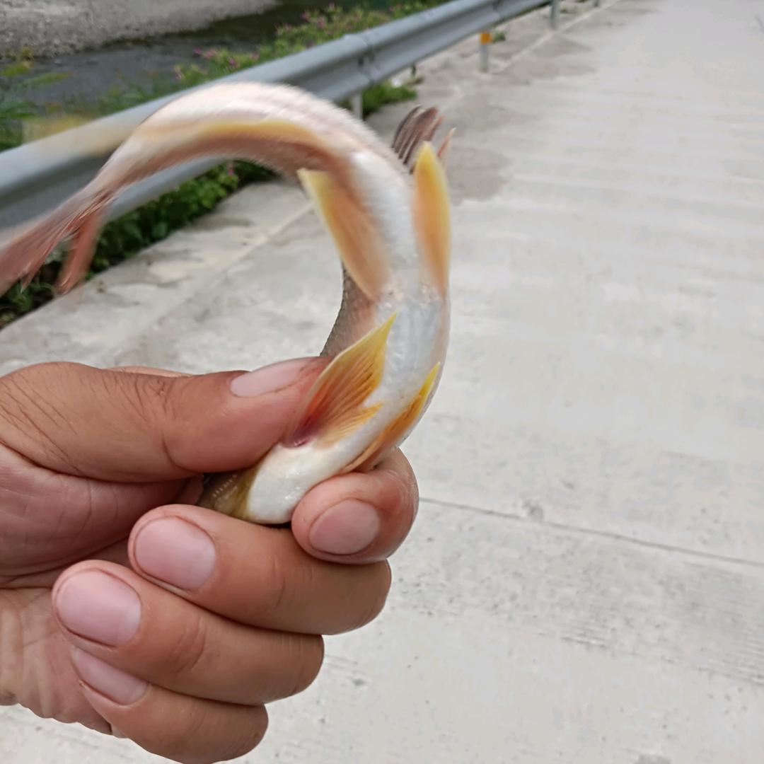 嗨嗨嗨