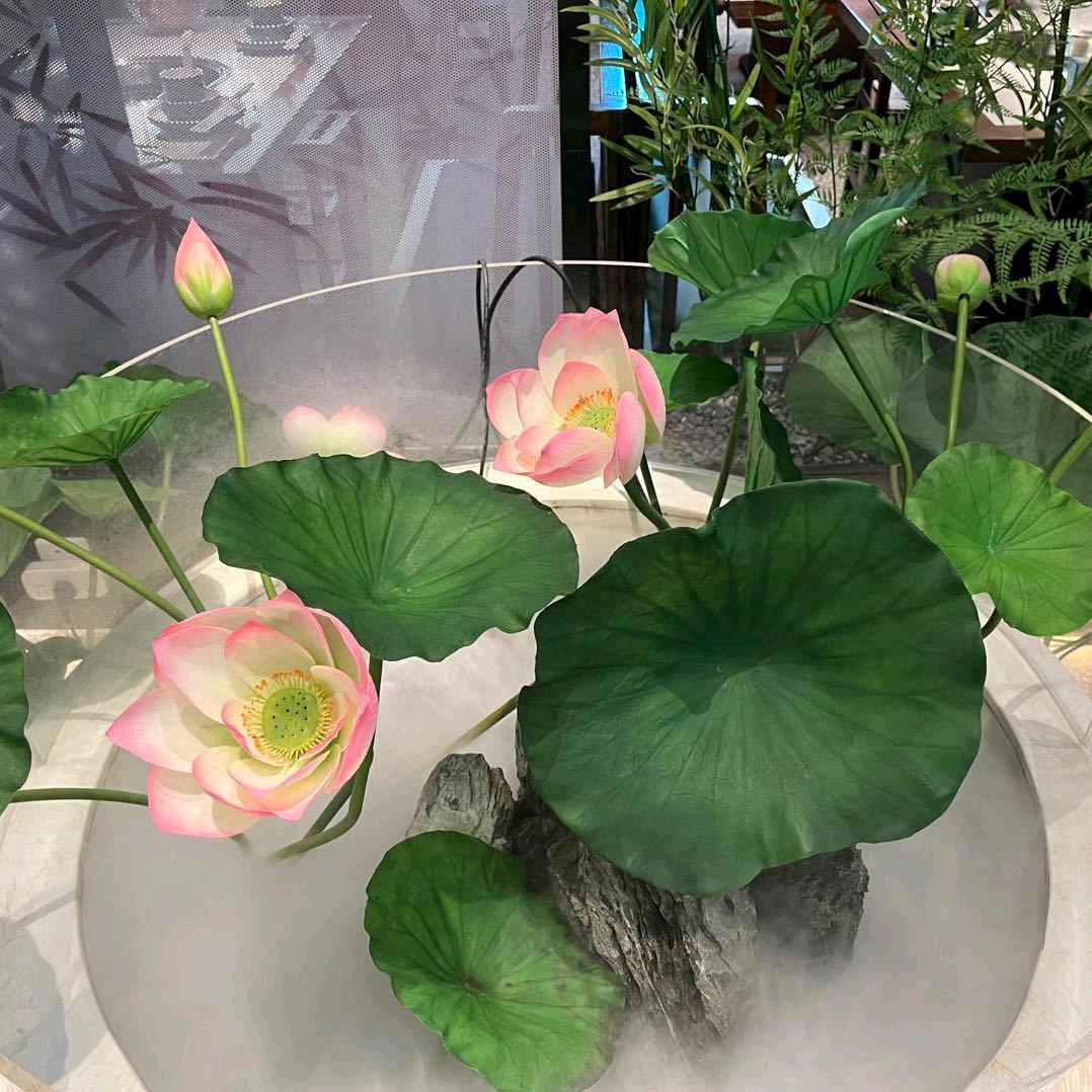 我最爱的小朱朱头像