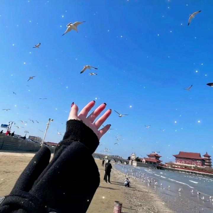 @苏💞苏