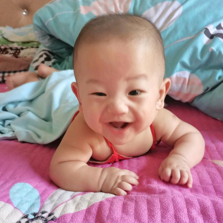 铁蛋玩毛线
