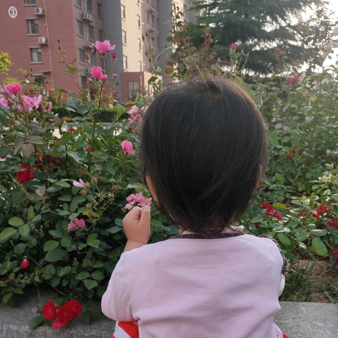 KYM👩傻憨憨+多福多金
