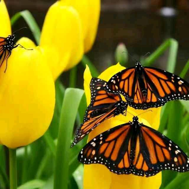 我的自由畅享空间