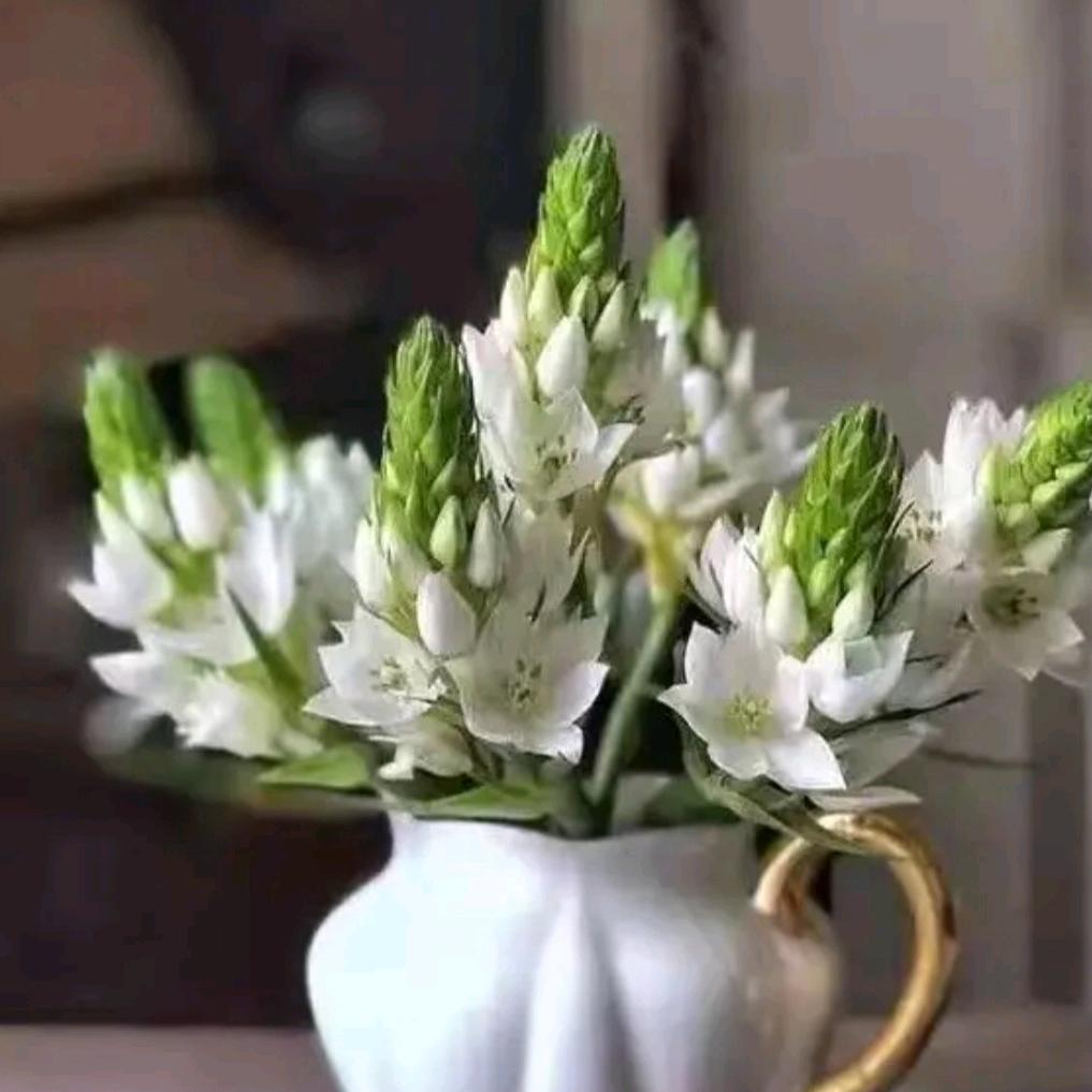 星语花艺