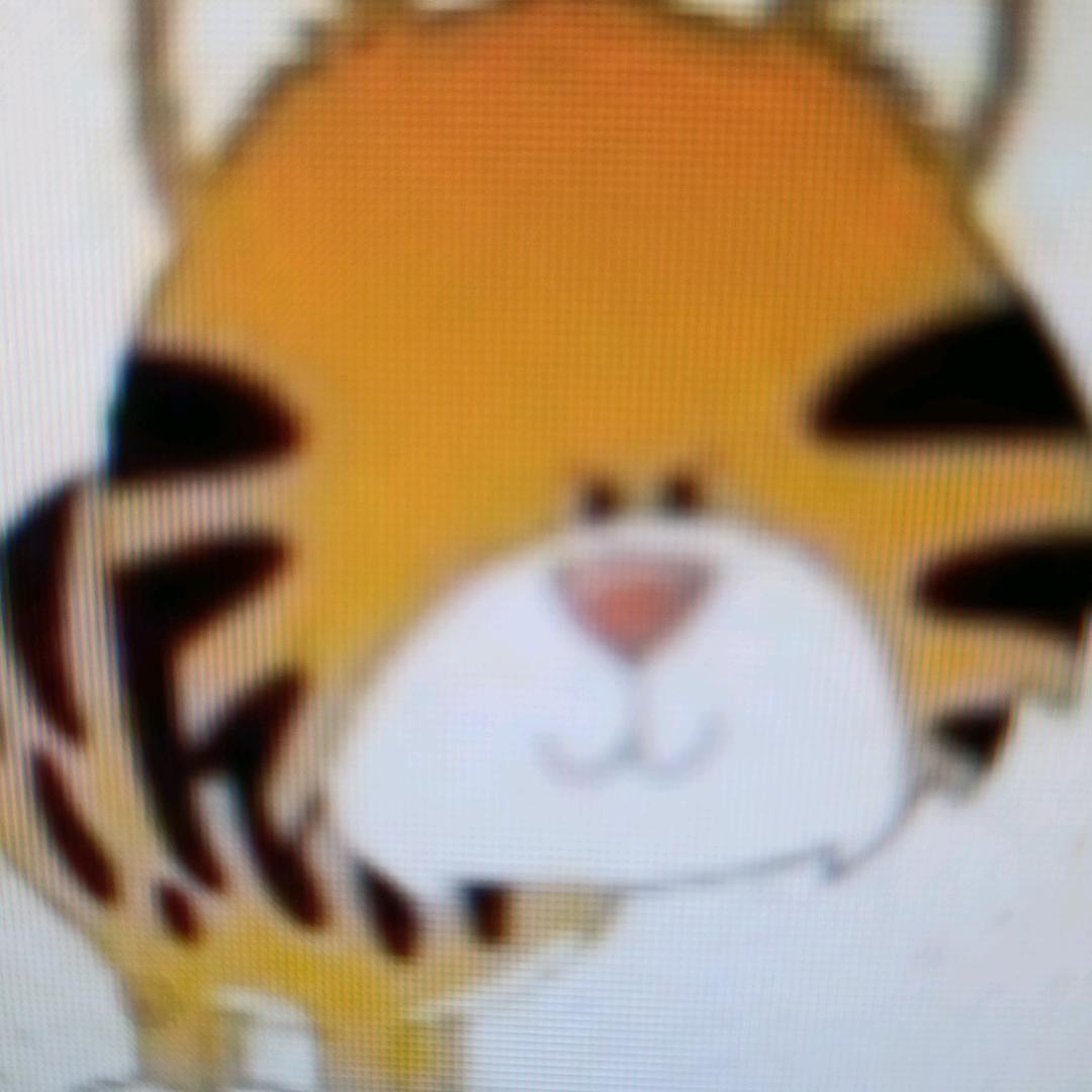 虎币胜熊