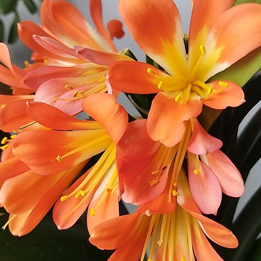 驾驶证报名找吴教练